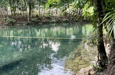 🌿 *12 Acres of Pure Belizean Paradise — Citrus Orchard (a small one), Pasture, Hills & Seasonal Creek!* 🌿   *Off-Grid Beauty Just Minutes from the Scenic Hummingbird Highway.