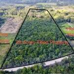 28 acres at the entrance to Agua Viva, minute from Hummingbird highway, With creek and cave